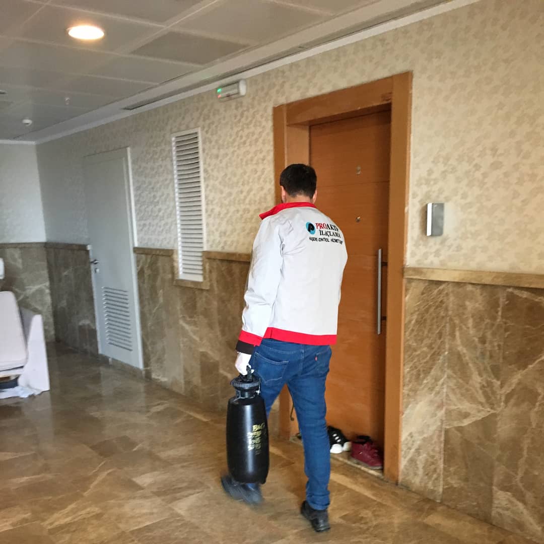 Fare İlaçlama